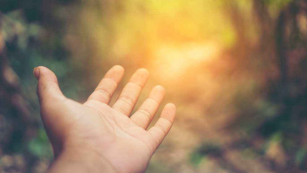 VIVERE IL CREATO. CON NUOVI STILI DI VITA. Laudato sì Project in action