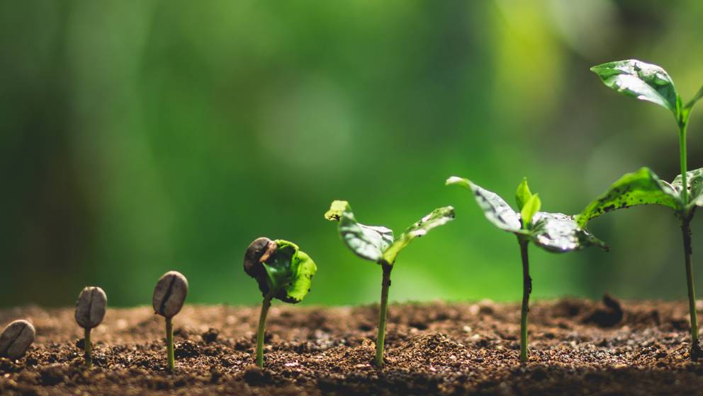 Certificazione EFPA ESG Advisor 