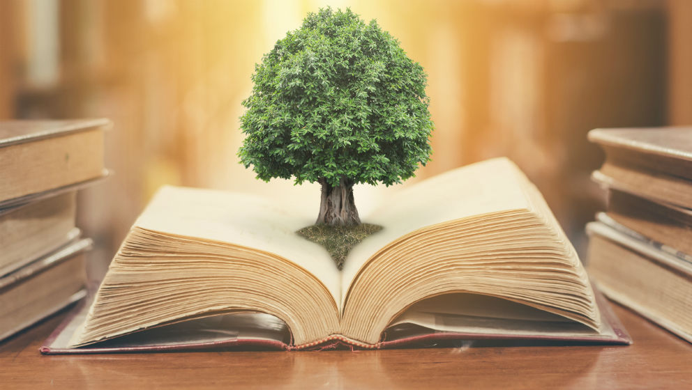 IX edizione Master Gestione e comunicazione della sostenibilità. Formazione, green jobs, circular economy