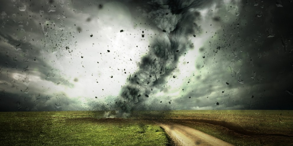 PMI RISK ADAPT: the project