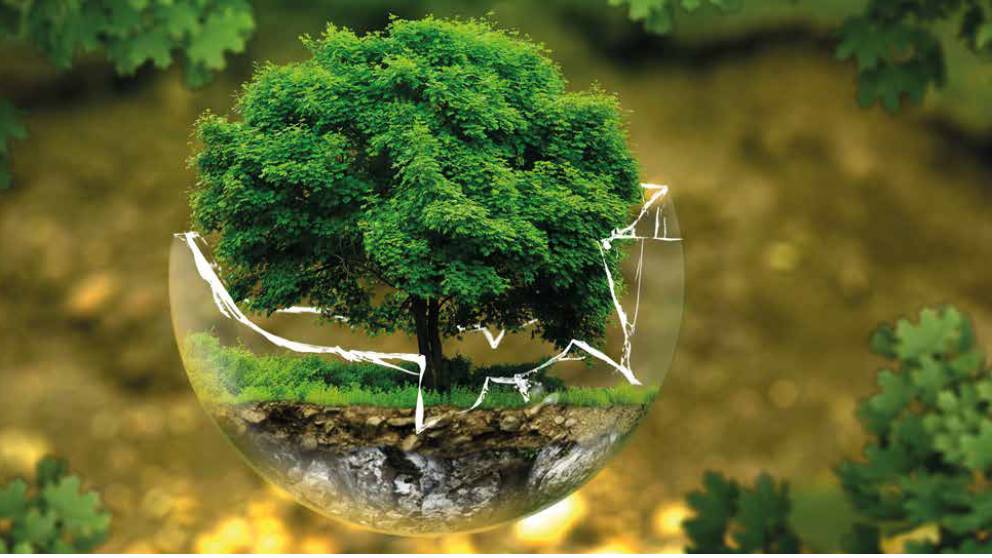 Laudato si’ un messaggio per l’umanità