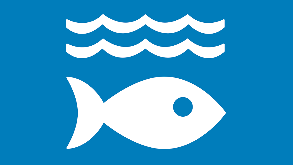 14 La vita sott'acqua