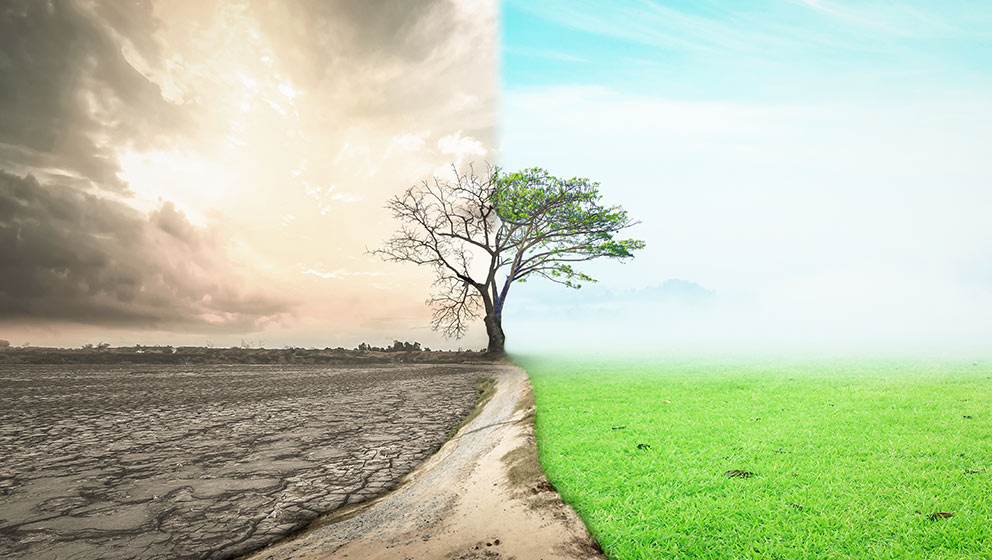 III edizione Master Rischio climatico e governance dell'ambiente. Adattamento e formazione per l'ecologia integrale