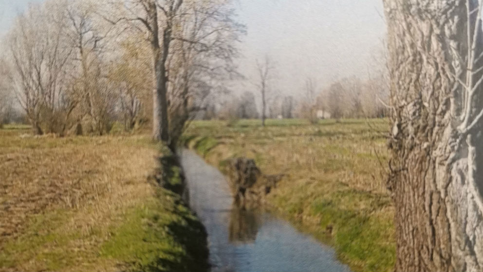Pedagogia dell'ambiente